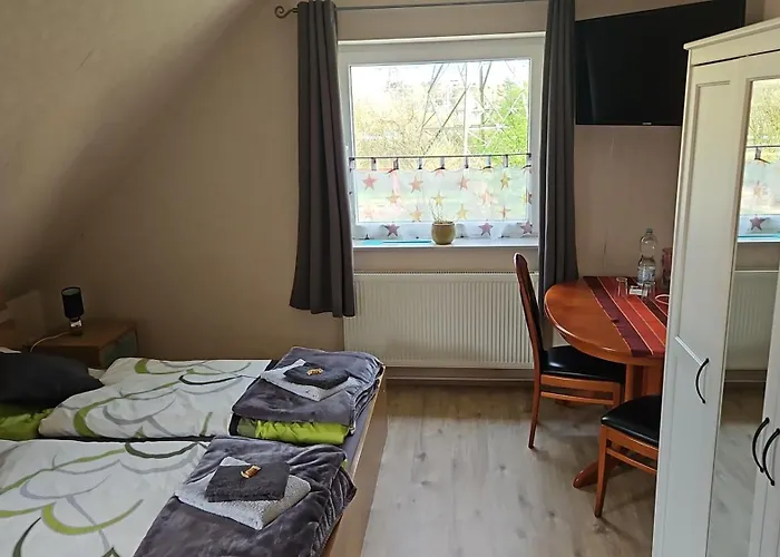 Moewennest Im Umland Hamburgs